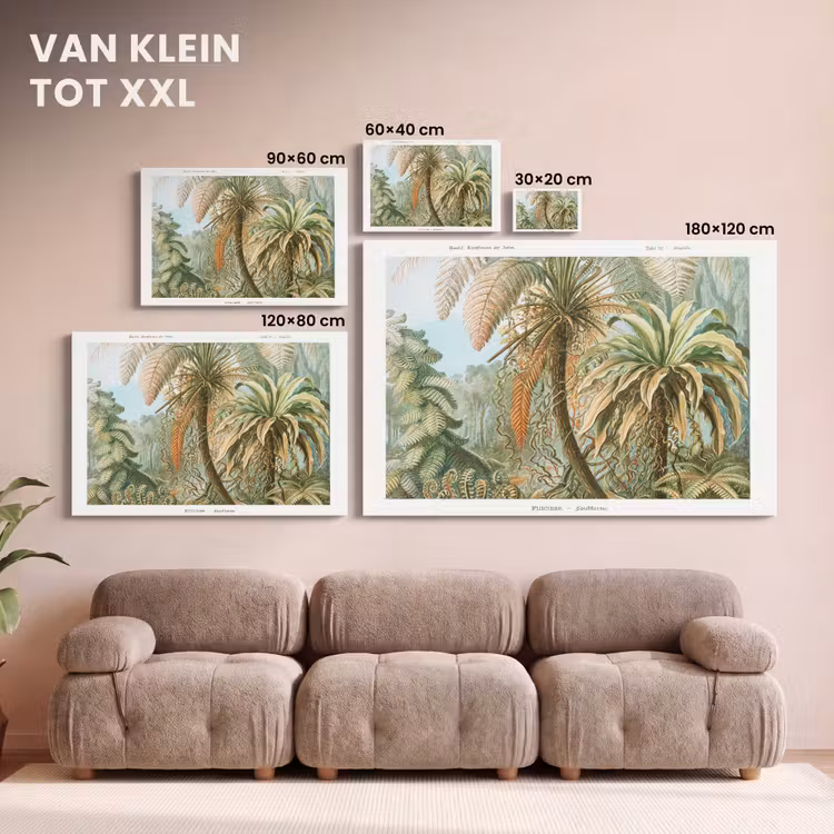 Canvas schilderij - Vintage - Oude meesters - Varens - Planten - Natuur — 8