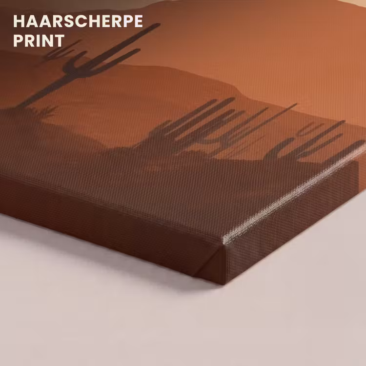 Canvas schilderij - Landschap - Woestijn - Cactussen - Zon — 5