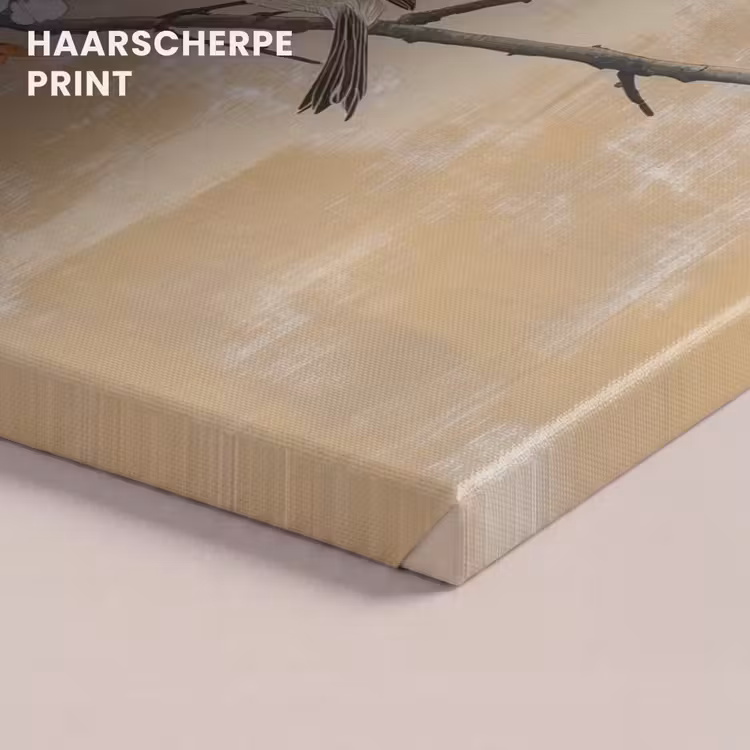 Canvas schilderij - Vogels - Bloesemtak - Bloemen - Oranje — 5