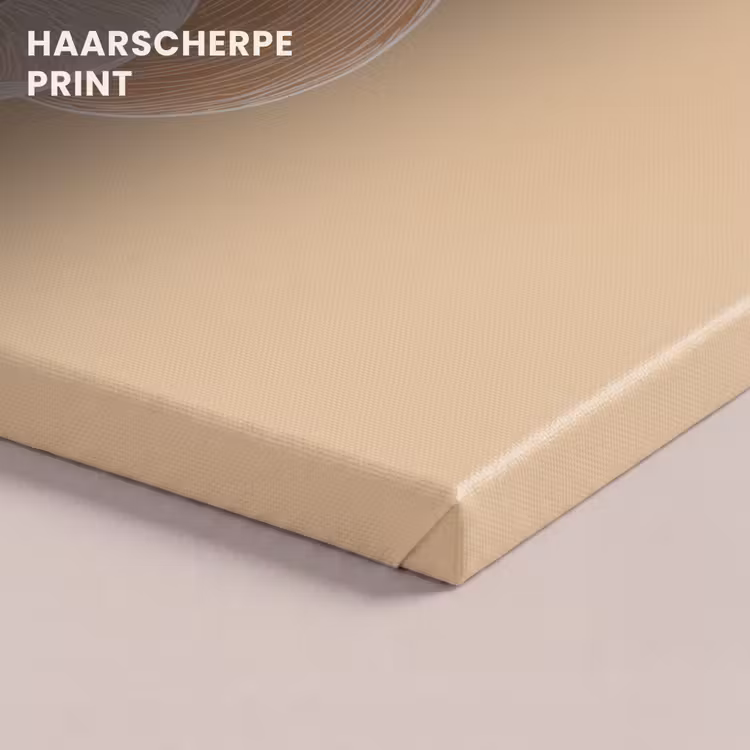 Canvas schilderij - Perzik - Lijntekening - Pit - Beige — 5