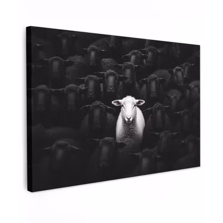 Canvas schilderij - Schapen - Wit - Duisternis — 1