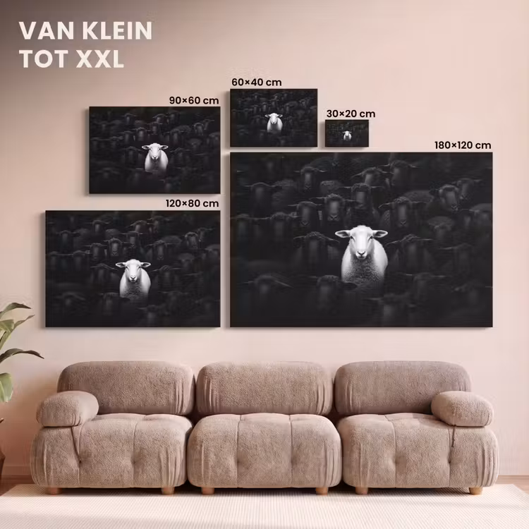 Canvas schilderij - Schapen - Wit - Duisternis — 8