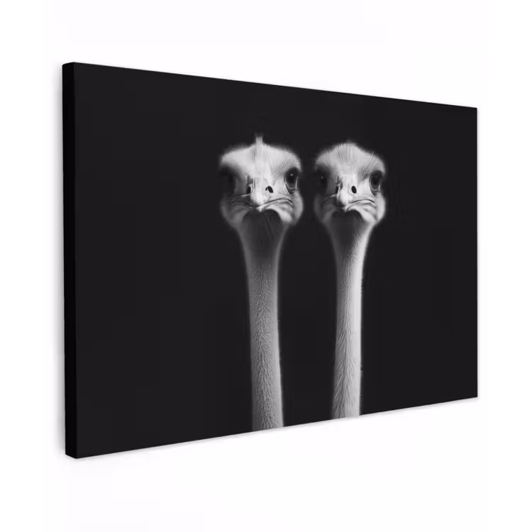 Canvas schilderij - Struisvogels - Halzen - Zwart - Minimalistisch — 1