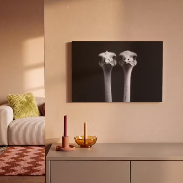 Canvas schilderij - Struisvogels - Halzen - Zwart - Minimalistisch — 2