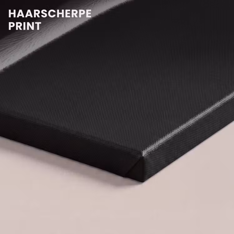 Canvas schilderij - Struisvogels - Halzen - Zwart - Minimalistisch — 5