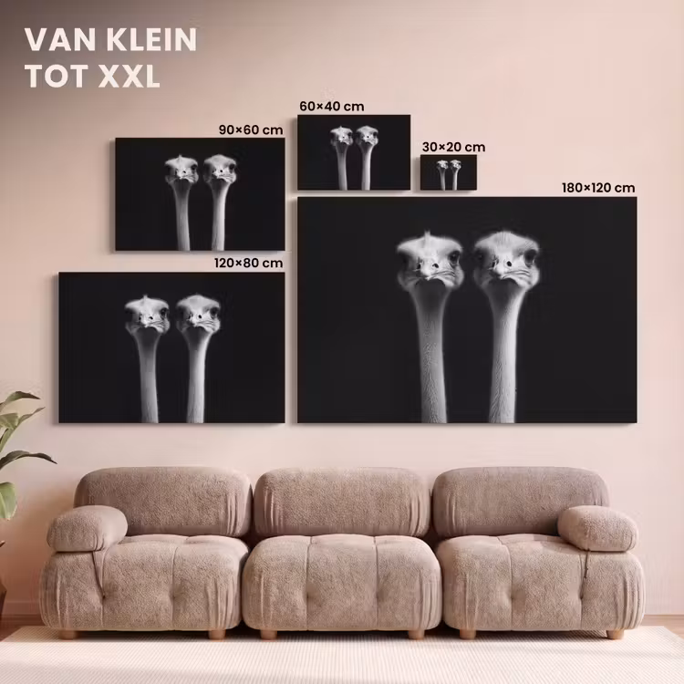 Canvas schilderij - Struisvogels - Halzen - Zwart - Minimalistisch — 8
