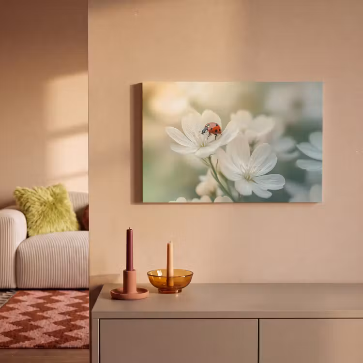 Canvas schilderij - Lieveheersbeestje - Bloemen - Wit — 2
