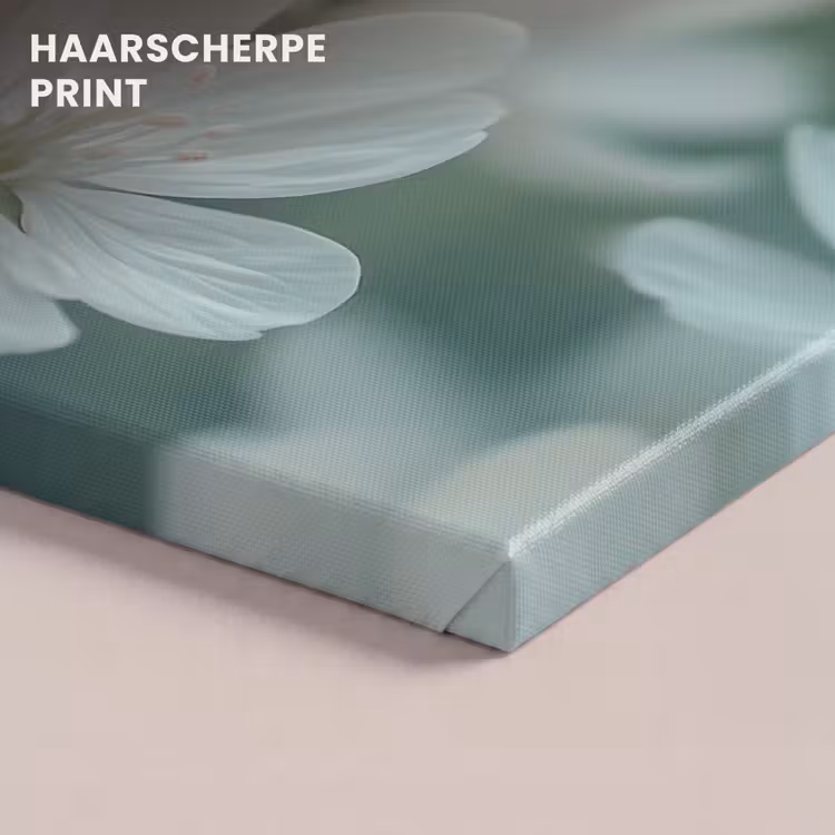 Canvas schilderij - Lieveheersbeestje - Bloemen - Wit — 5