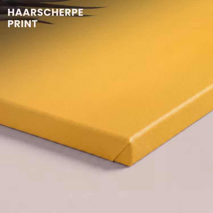 Canvas schilderij - Plant - Minimalistisch - Bloem - Geel — 5