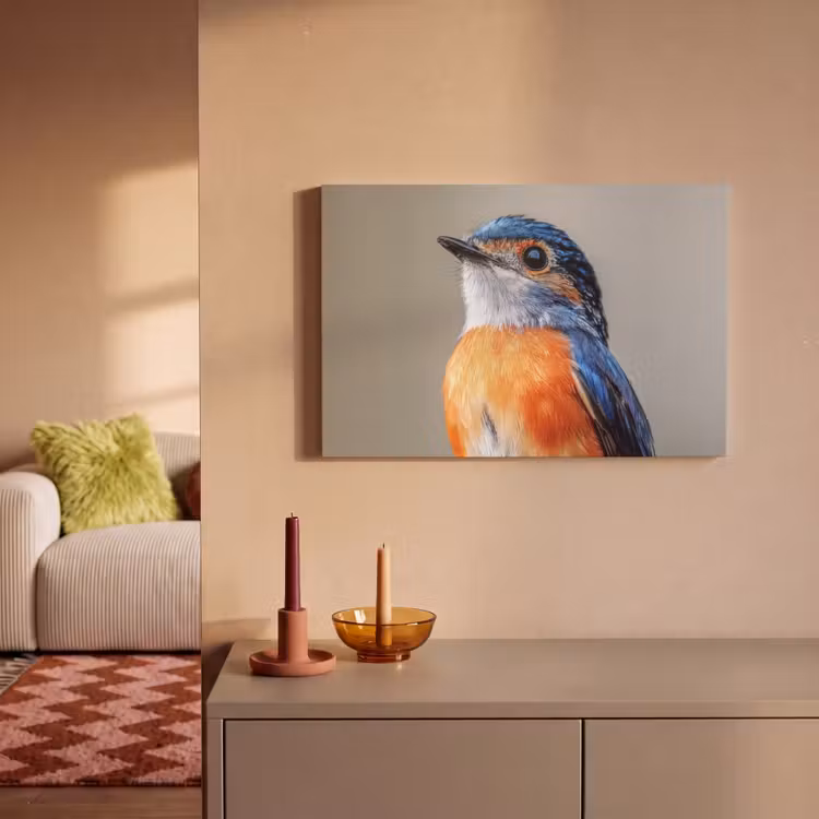 Canvas schilderij - Kleurrijk - Vogeltje - Veren - Blauw — 2