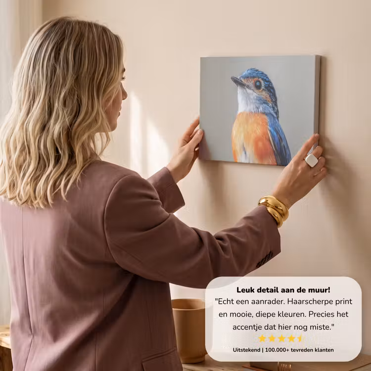 Canvas schilderij - Kleurrijk - Vogeltje - Veren - Blauw — 3