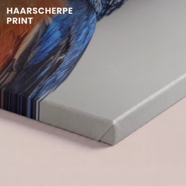 Canvas schilderij - Kleurrijk - Vogeltje - Veren - Blauw — 5