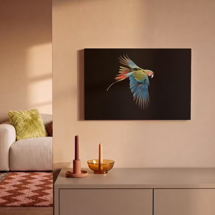 Canvas schilderij - Papegaai - Kleurrijk - Vleugels - Sierlijk — 2