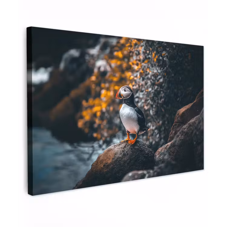 Canvas schilderij - Papegaai - Vogel - Rots - Wit — 1