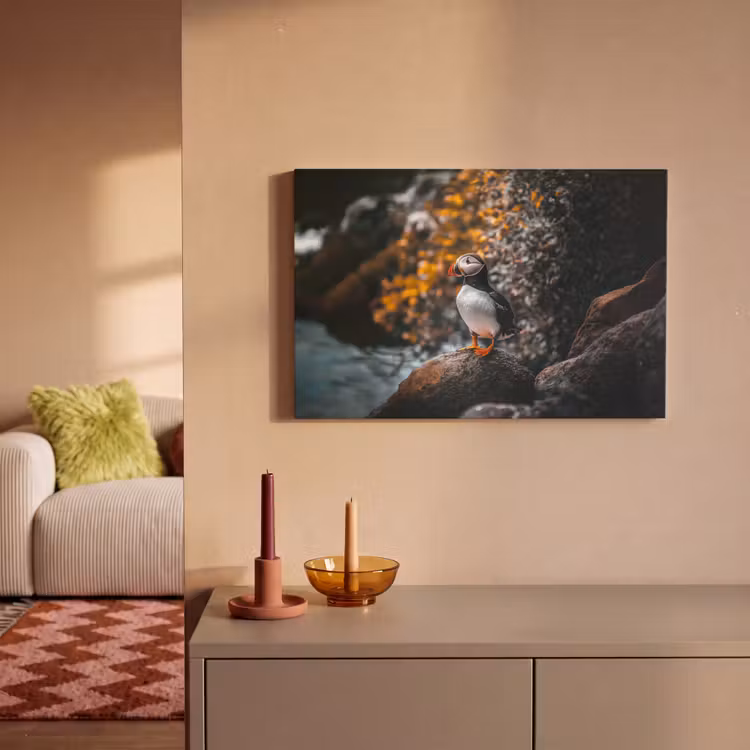 Canvas schilderij - Papegaai - Vogel - Rots - Wit — 2