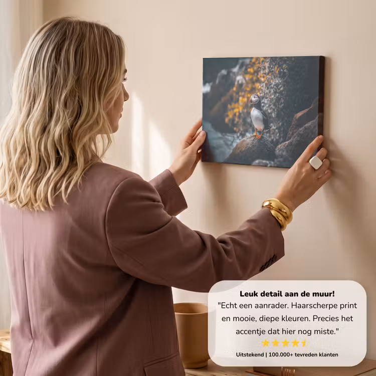 Canvas schilderij - Papegaai - Vogel - Rots - Wit — 3