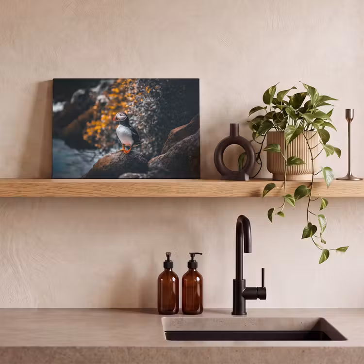 Canvas schilderij - Papegaai - Vogel - Rots - Wit — 4