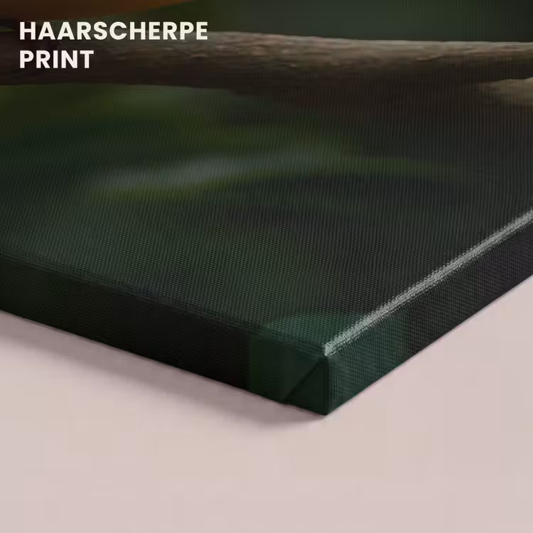 Canvas schilderij - Vogel - Tak - Geel - Bladeren — 5