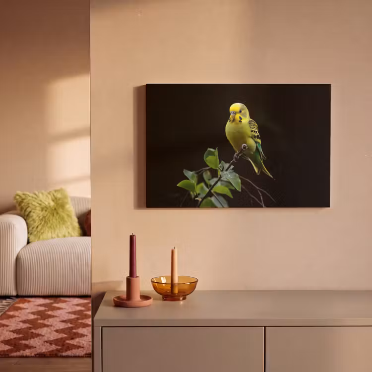 Canvas schilderij - Parkiet - Tak - Bladeren - Geel — 2