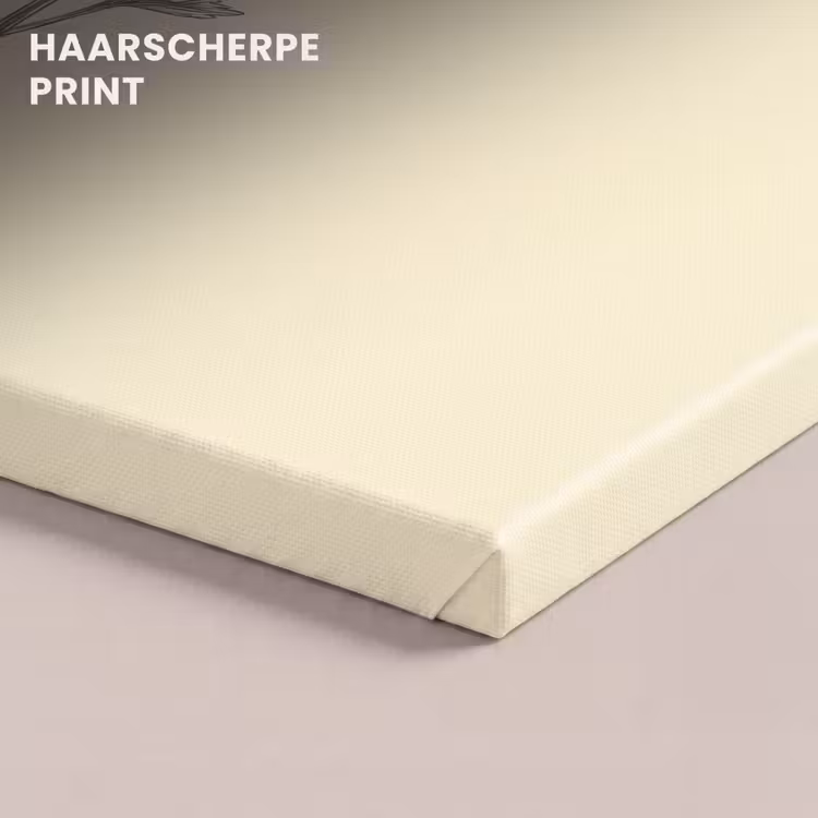 Canvas schilderij - Klaproos - Illustratie - Zwart — 5