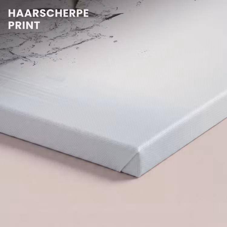 Canvas schilderij - Vissen - Water - Wit — 5