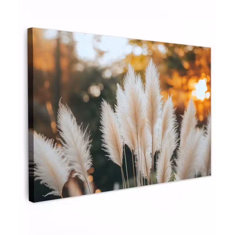 Canvas schilderij - Pampasgras - Pluimen - Sierlijk — 1