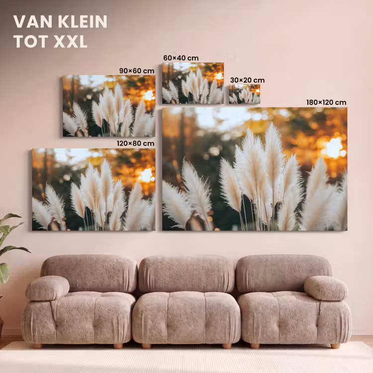Canvas schilderij - Pampasgras - Pluimen - Sierlijk — 8