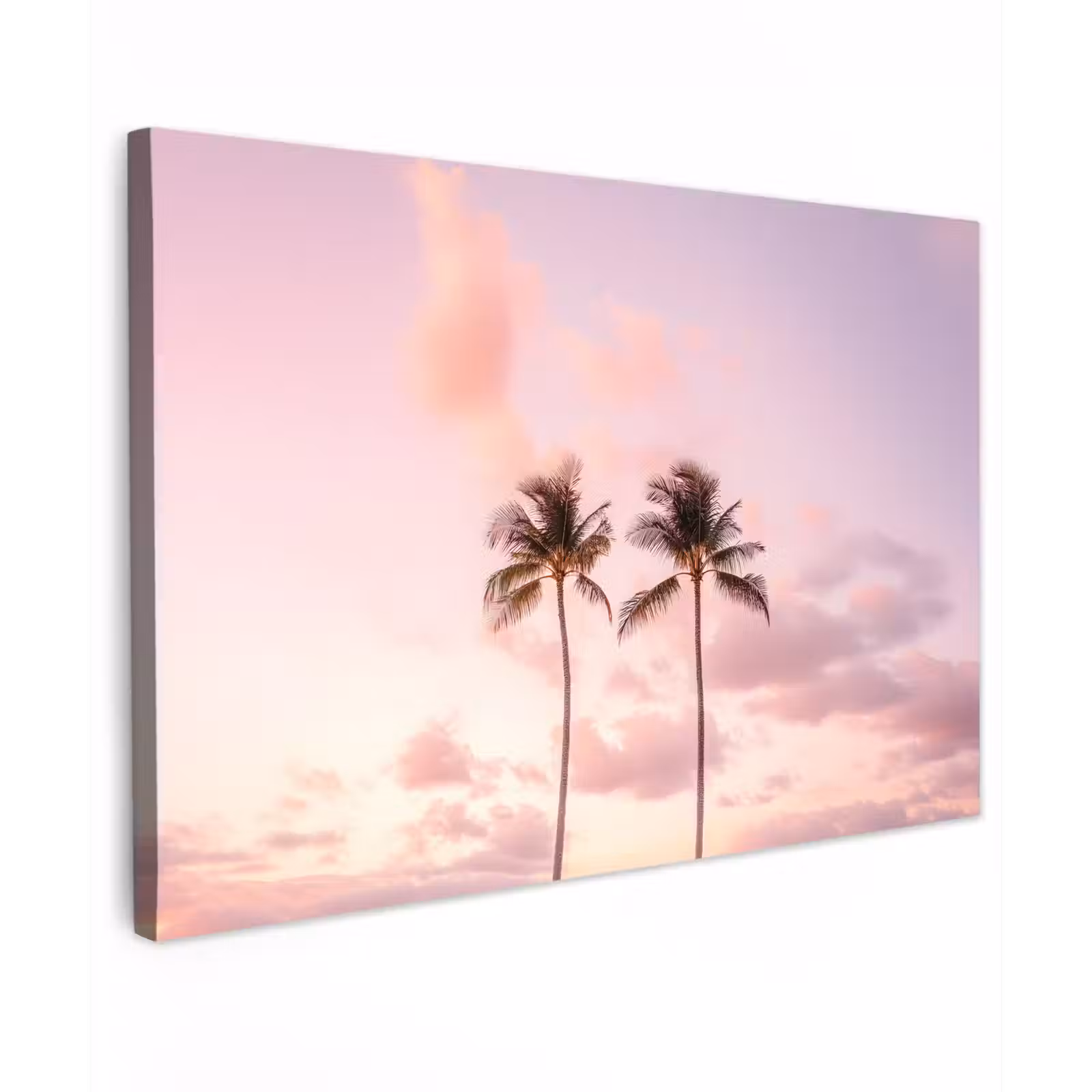 Canvas schilderij - Palmbomen - Paars - Wolken - Lucht — 1