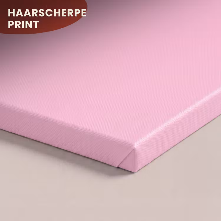 Canvas schilderij - Kersen - Roze - Illustratie — 5