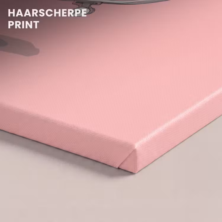 Canvas schilderij - Kat - Skateboard - Roze — 5