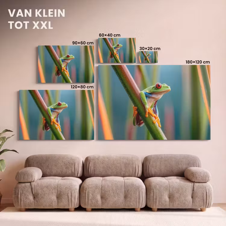 Canvas schilderij - Kleurrijke kikker - Groene stengel - Alert — 8