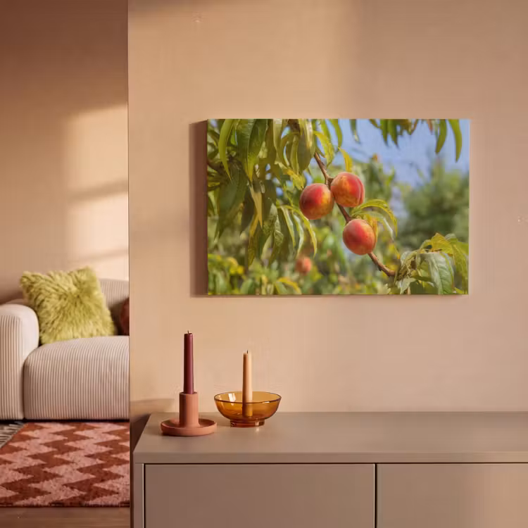 Canvas schilderij - Perzik - Bladeren - Zonlicht — 2