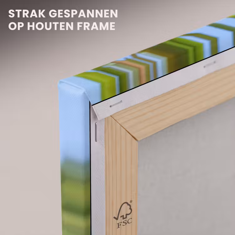 Canvas schilderij - Perzik - Bladeren - Zonlicht — 7