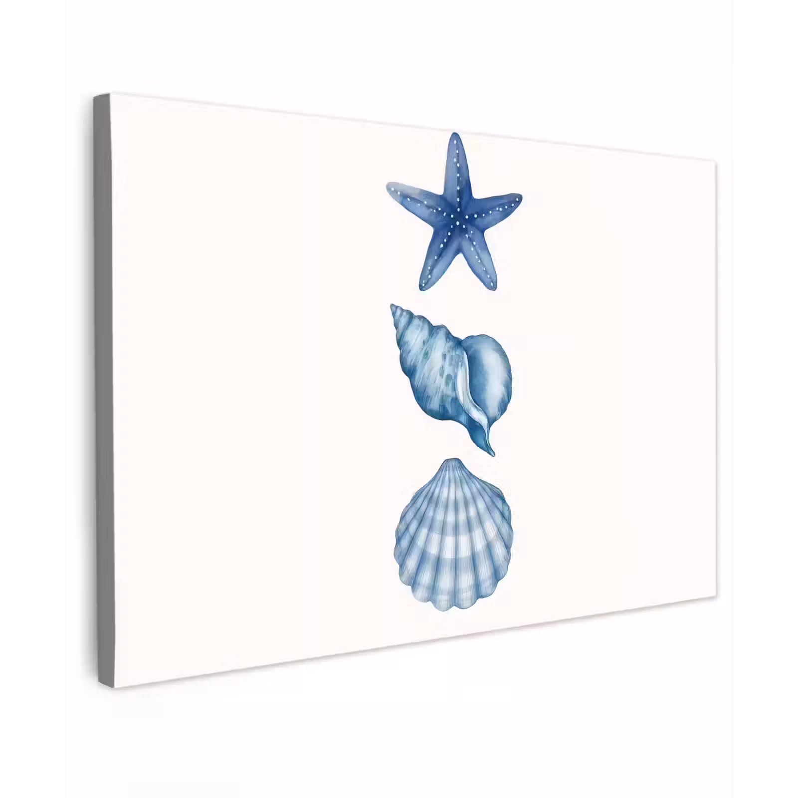 Canvas schilderij - Zeester - Schelpen - Blauw — 1