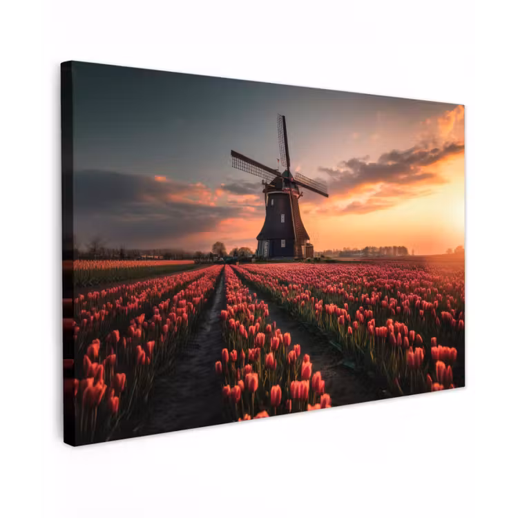 Canvas schilderij - Molen - Zonsondergang - Tulpen - Rood — 1