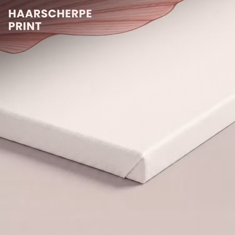 Canvas schilderij - Schelp - Roze - Ribbels — 5