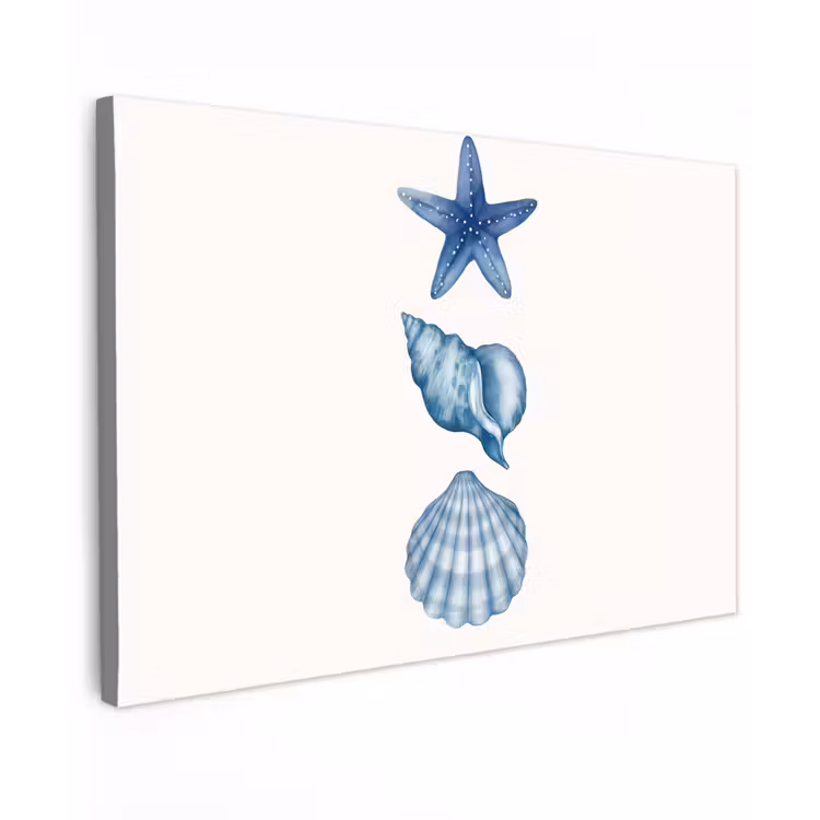 Canvas schilderij - Zeester - Schelpen - Blauw — 1