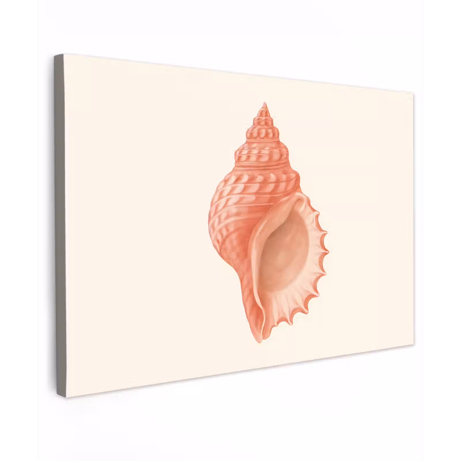 Canvas schilderij - Schelp - Roze - Structuur — 1