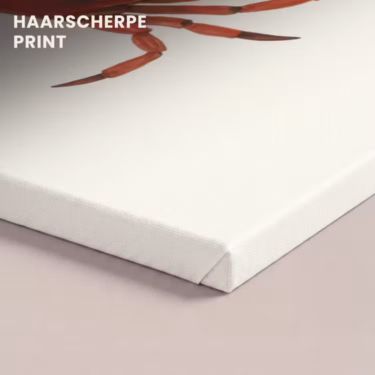 Canvas schilderij - Krab - Felrood - Poten — 5