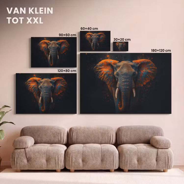 Canvas schilderij - Olifant - Oranje - Oren — 8