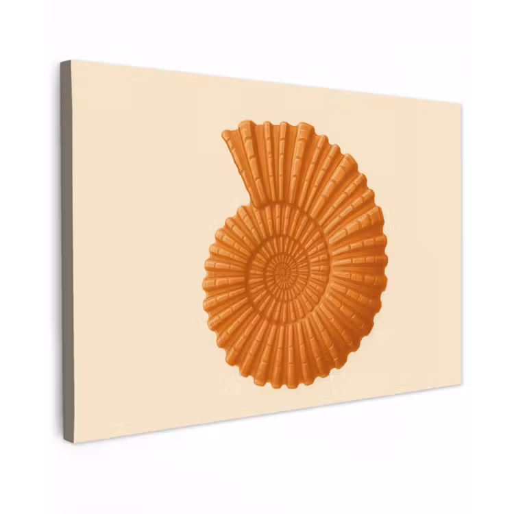 Canvas schilderij - Schelp - Oranje - Ribbels — 1