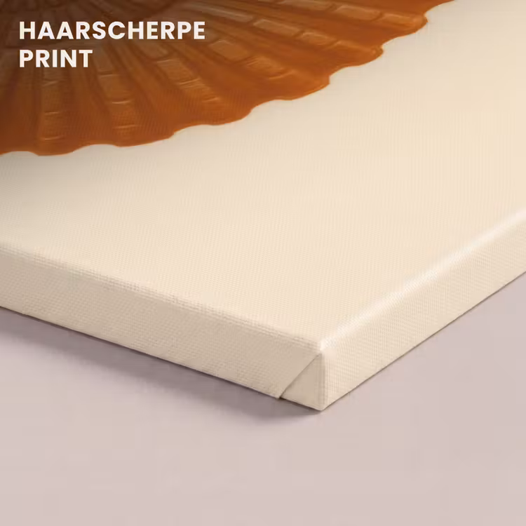 Canvas schilderij - Schelp - Oranje - Ribbels — 5