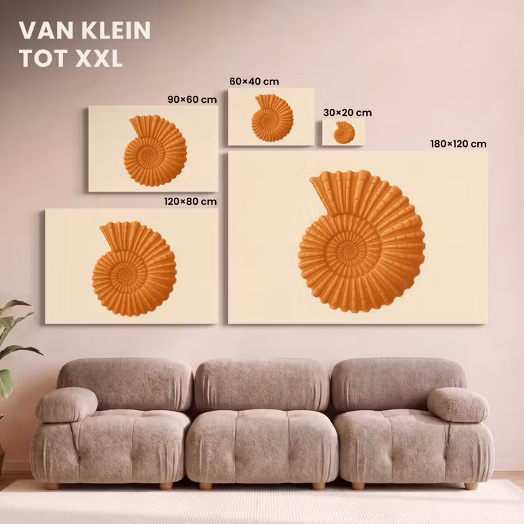 Canvas schilderij - Schelp - Oranje - Ribbels — 8