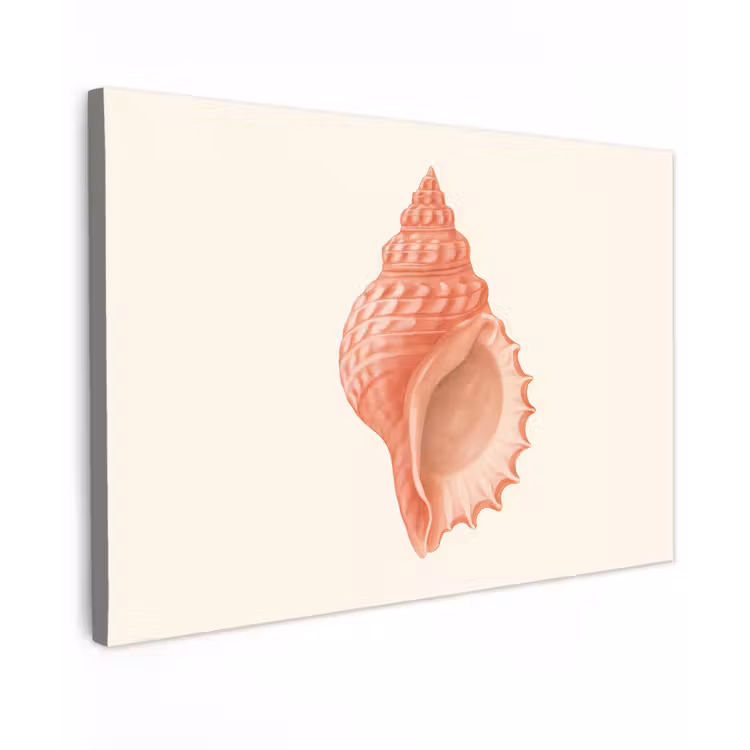 Canvas schilderij - Schelp - Roze - Structuur — 1