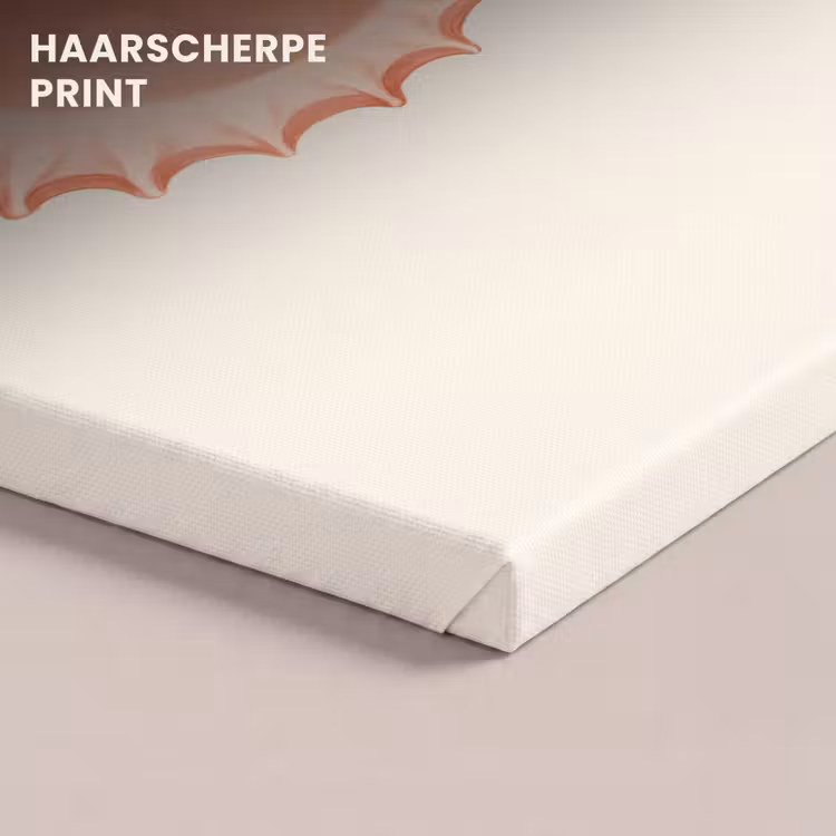 Canvas schilderij - Schelp - Roze - Structuur — 5