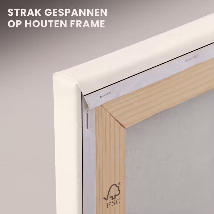 Canvas schilderij - Schelp - Roze - Structuur — 7
