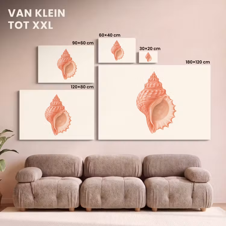 Canvas schilderij - Schelp - Roze - Structuur — 8