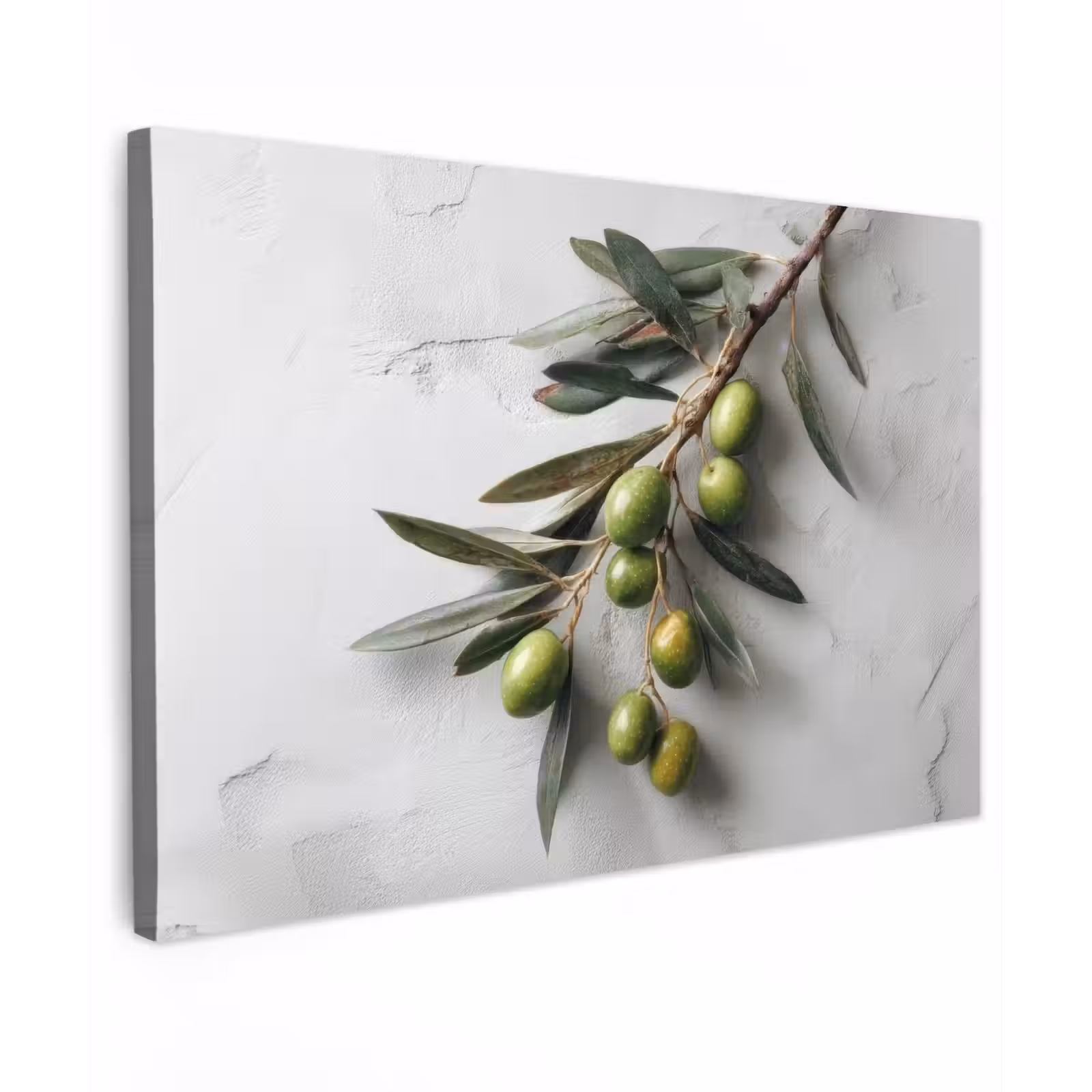 Canvas schilderij - Olijventak - Beton - Mediterraan — 1