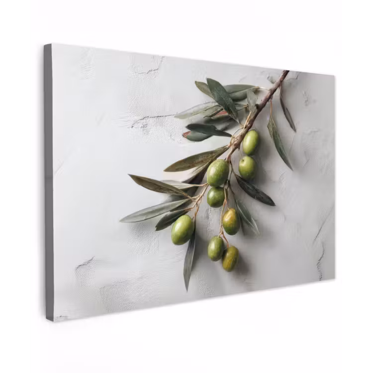 Canvas schilderij - Olijventak - Beton - Mediterraan — 1