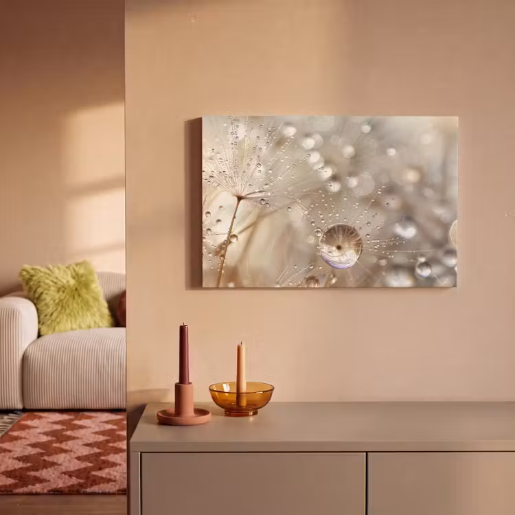 Canvas schilderij - Paardenbloemzaden - Water - Beige - Botanisch — 2
